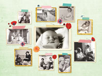 Collage ontwerp Pimpelmees