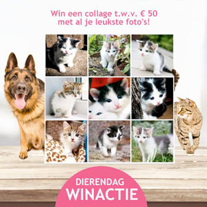 dierendag winactie leukste dierenfoto