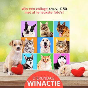 dierendag winactie win je eigen collage