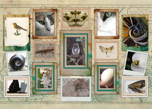nieuwe collages pieces of art