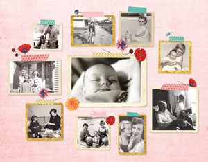 pimpelmees ontwerpt nieuwe collage