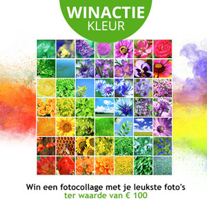 winactie kleur