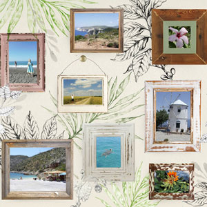 Collages Annalouis