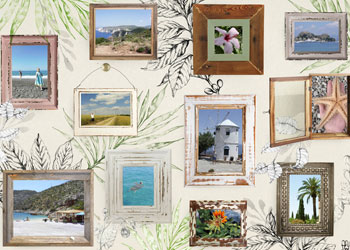 Collage Annalouis
