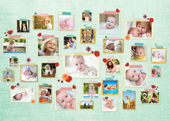 Collage Pimpelmees