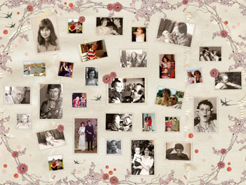 Fotocollage Pluk een Roos XL
